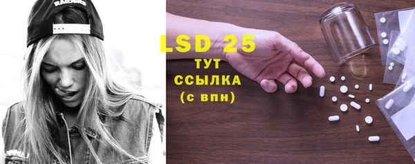 стафф Арсеньев