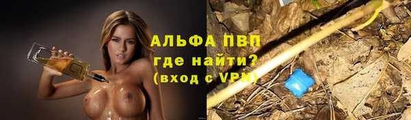 спайс Баксан