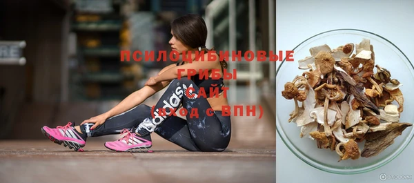 спайс Баксан