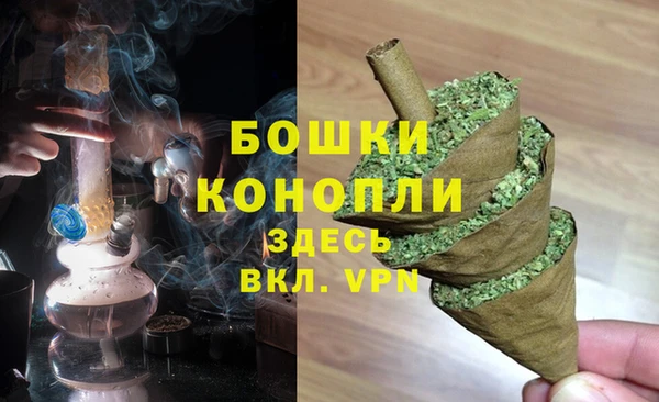 спайс Баксан