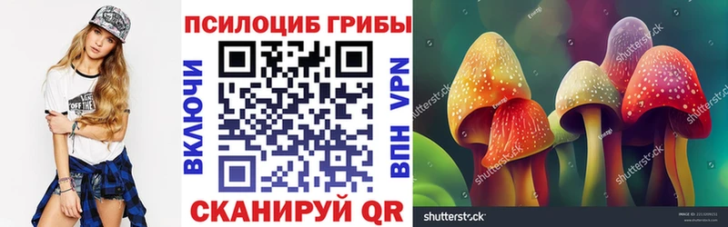 Псилоцибиновые грибы прущие грибы  Можайск 